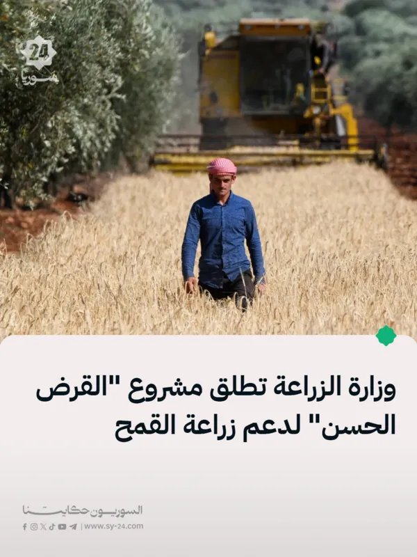 وزارة الزراعة تطلق "القرض الحسن" لدعم مزارعي القمح وتعزيز الأمن الغذائي