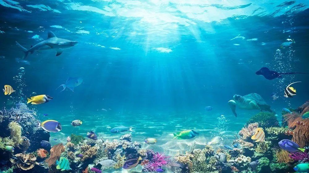 ميامي تطلق حديقة منحوتات بحرية ضخمة لإنعاش الشعاب المرجانية المهددة