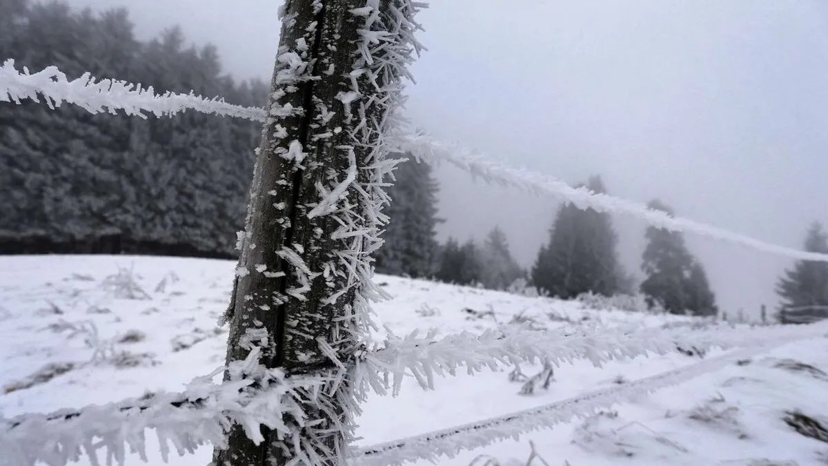 ألمانيا تستقبل أول موجة ثلوج واسعة: توقعات بتراكمات تصل إلى 20 سم في بعض المناطق