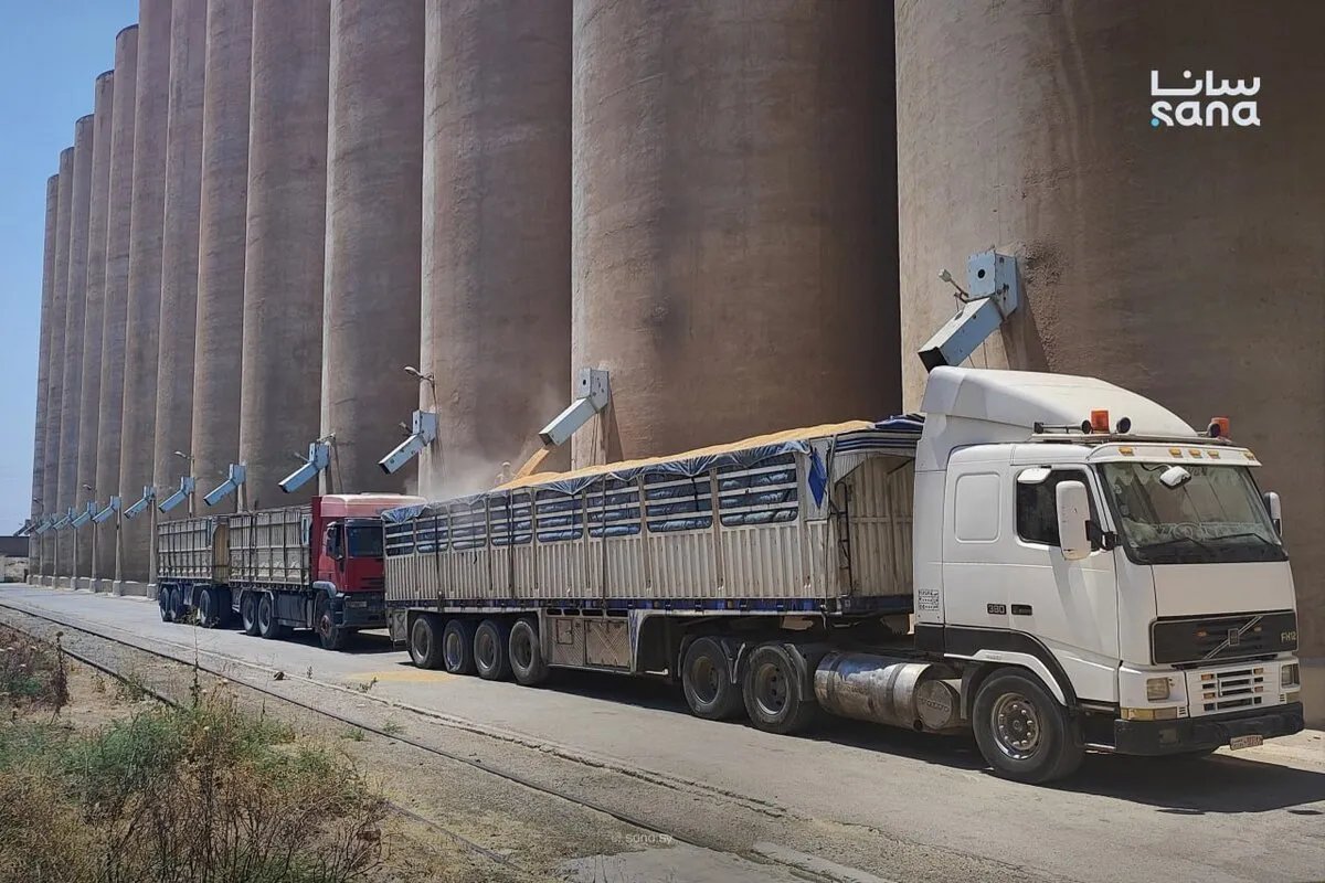 وصول أكثر من 134 ألف طن من القمح إلى سوريا لتعزيز الأمن الغذائي