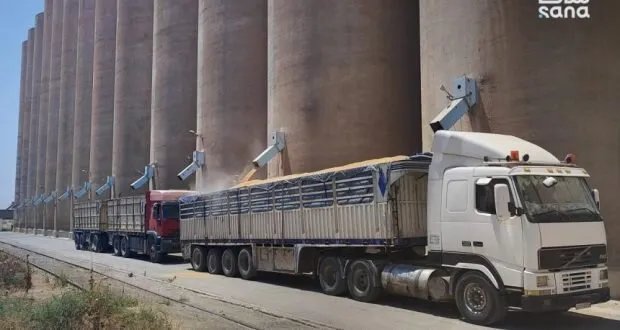 وصول شحنات قمح ضخمة إلى سوريا: أكثر من 134 ألف طن تعزز المخزون الاستراتيجي