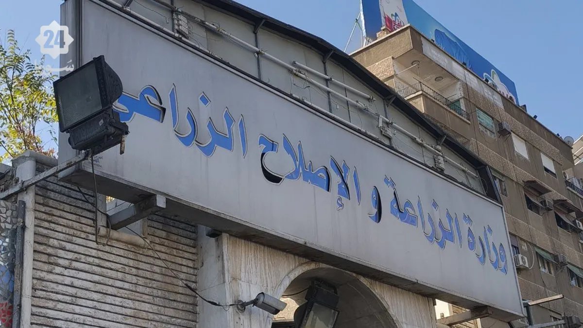 قرض حسن لدعم زراعة القمح: مبادرة حكومية لإنعاش آمال المزارعين في سوريا