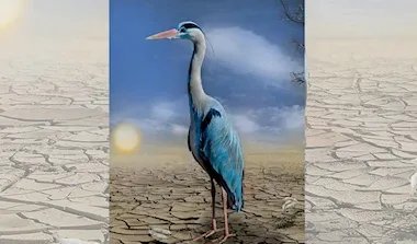 خطة أوروبا المناخية لعام 2040: هل تتخلى القارة عن التزاماتها البيئية وسط ضغوط الطاقة والاقتصاد؟