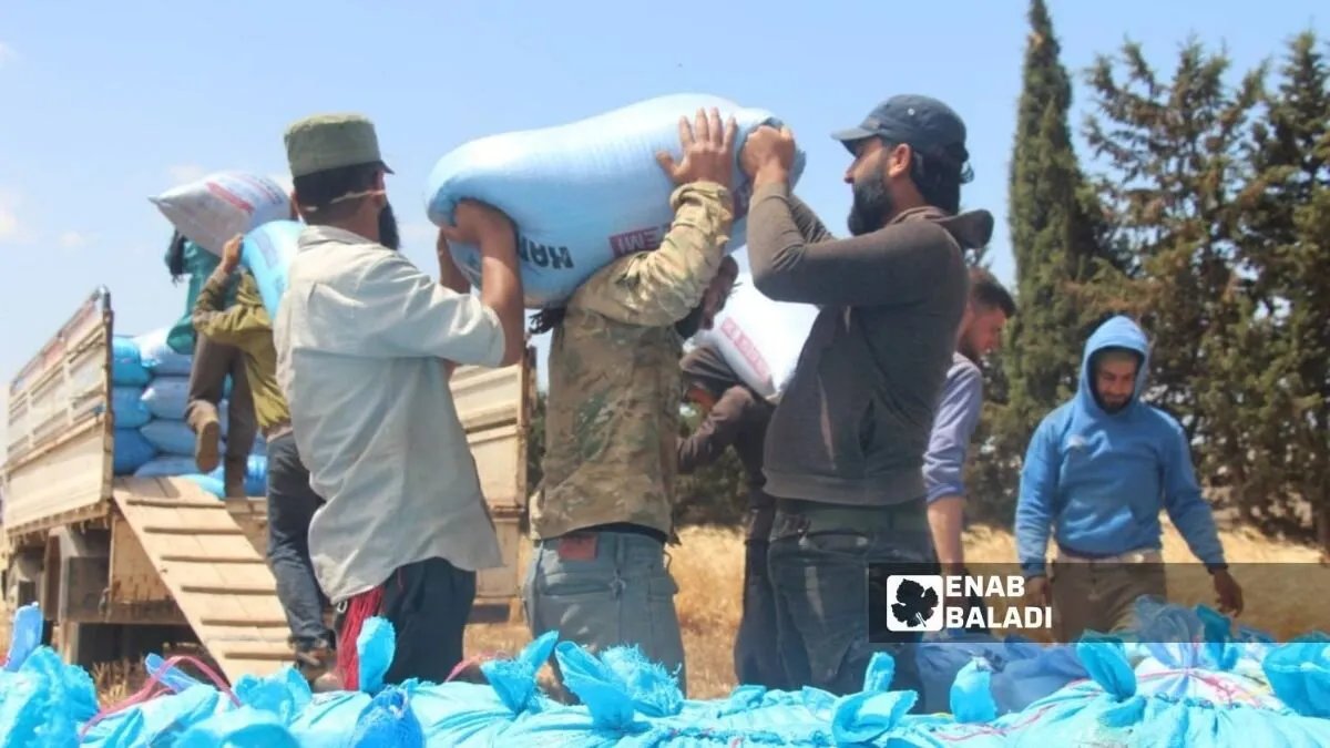 تفاصيل "القرض الحسن" لدعم زراعة القمح في سوريا: الشروط والضمانات والآفاق