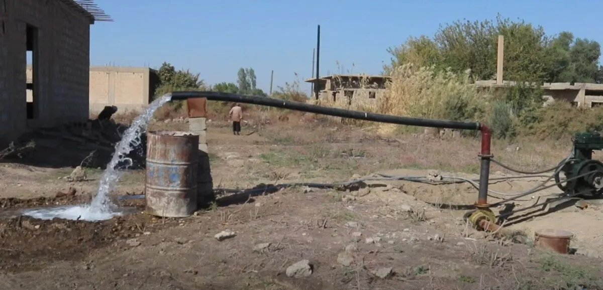 تحديات الري والأعلاف تعيق انتعاش الزراعة والثروة الحيوانية في دير الزور