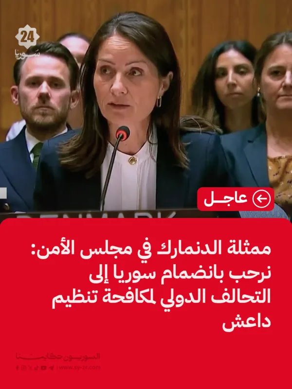 نجاة رشدي: قرار أممي يزيل العقوبات عن مسؤولين سوريين ويدعم إعادة دمج سوريا