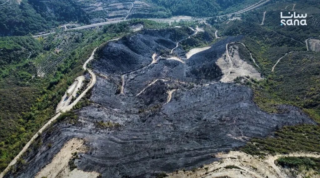 السيطرة على حريق قرية باشورة في اللاذقية بعد عمل استمر 10 ساعات