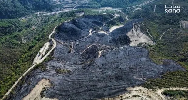 السيطرة على حريق قرية باشورة في اللاذقية بعد 10 ساعات من العمل