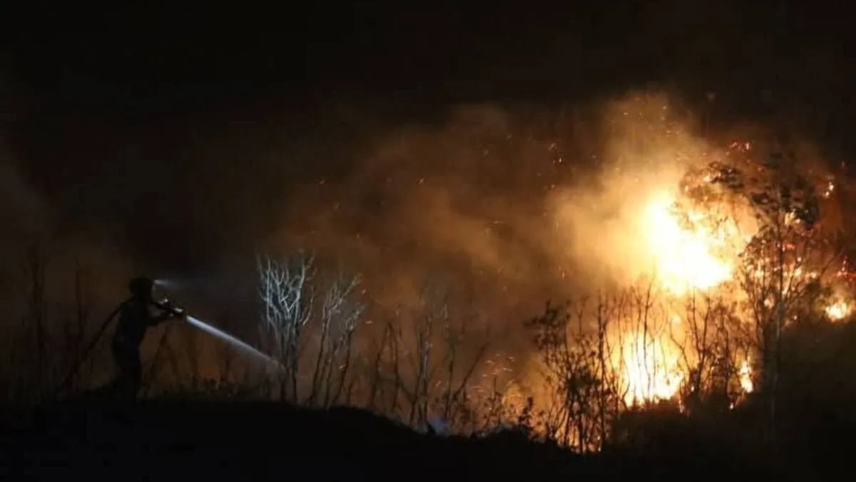 السيطرة على حرائق اللاذقية بعد جهود مضنية.. والدفاع المدني في حالة تأهب