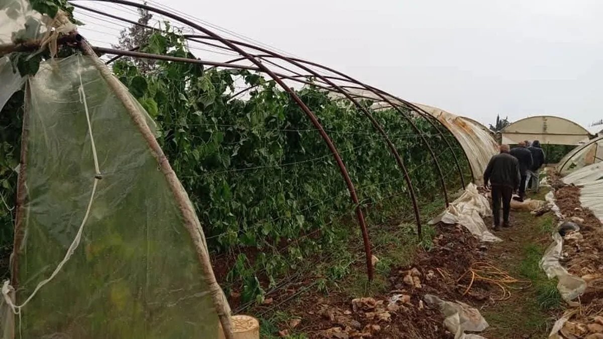 تحذيرات من "تنين بحري" يهدد السواحل السورية وتقلبات جوية واسعة