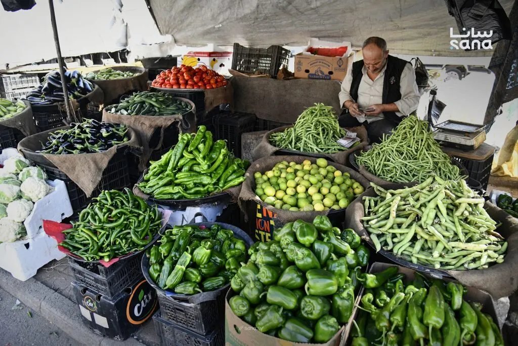 انخفاض أسعار الخضار والفواكه في سوق نهر عيشة بدمشق بفضل الإنتاج المحلي الوفير