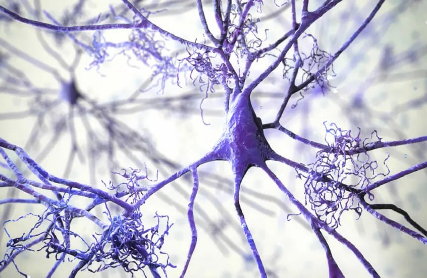 اكتشاف واعد: إنزيم "VLK" الجديد يفتح الباب لعلاجات آمنة للألم في الدماغ