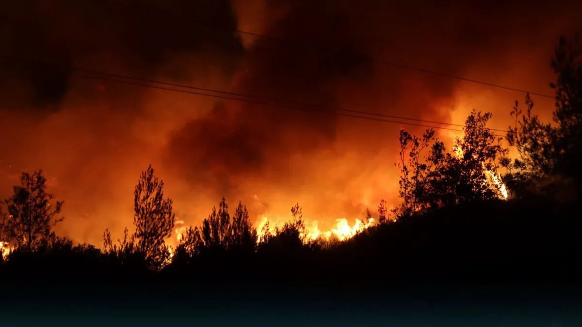 جهود مكثفة للسيطرة على حريق غابات رأس البسيط في ريف اللاذقية