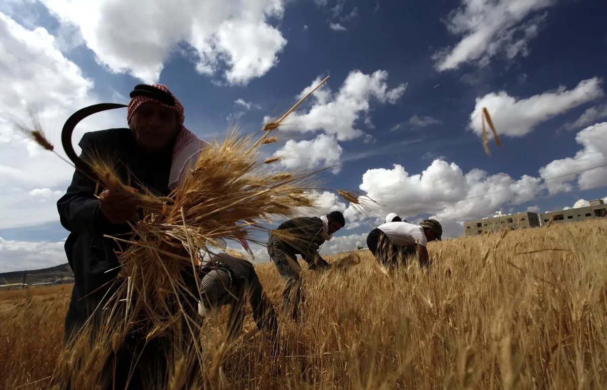 وزير الزراعة السوري: ضعف التسويق والتشريعات يعيقان الصادرات الزراعية
