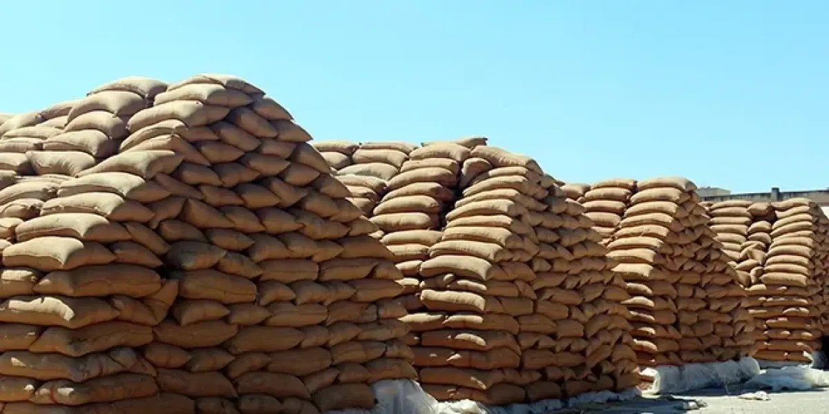 تحقيقات تكشف عن تجاوزات بمليارات الليرات في فروع مؤسسة الحبوب خلال فترة النظام البائد