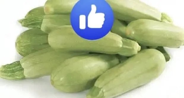 الكوسا: غذاء خارق يحمي صحة البروستاتا ويحسن وظائف الجسم