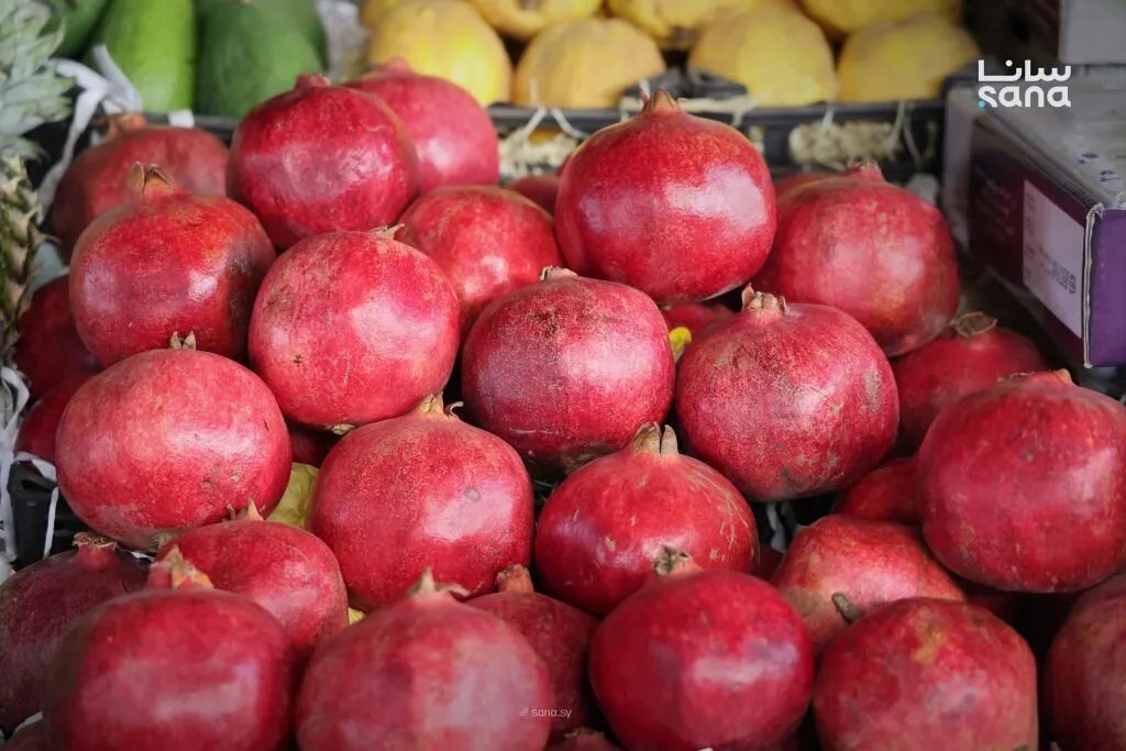 تقرير مصور: أسعار الفواكه والخضراوات في سوق باب سريجة بدمشق اليوم