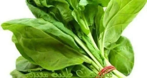 اكتشف الفوائد الصحية المذهلة لنبات السلق التي ستجعلك تحرص على تناوله