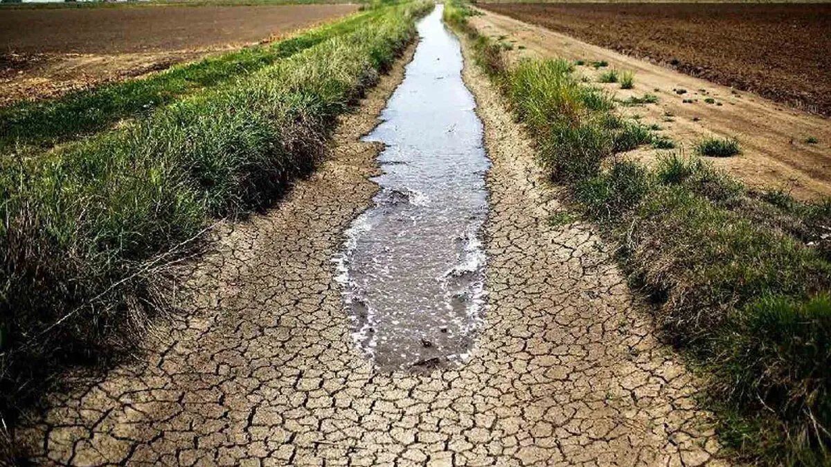 الجفاف يهدد الزراعة السورية: خبير يقترح حلولاً لإنقاذ القطاع