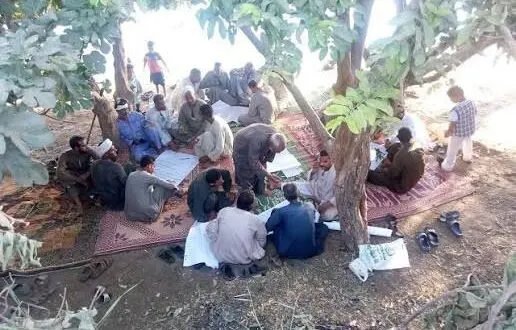 مدرسة المزارعين الحقلية تواصل فعالياتها في عياش بدير الزور لتمكين المزارعين