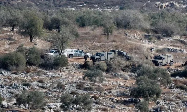 تصاعد الاعتداءات في الضفة الغربية: إصابة متضامنين أجانب وتخريب ممتلكات الفلسطينيين