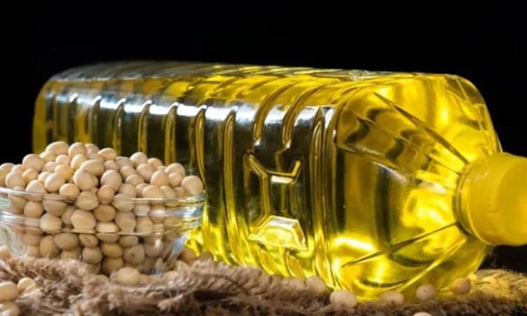 دراسة تكشف: مركّبات في زيت فول الصويا قد تكون المحفز الخفي للسمنة