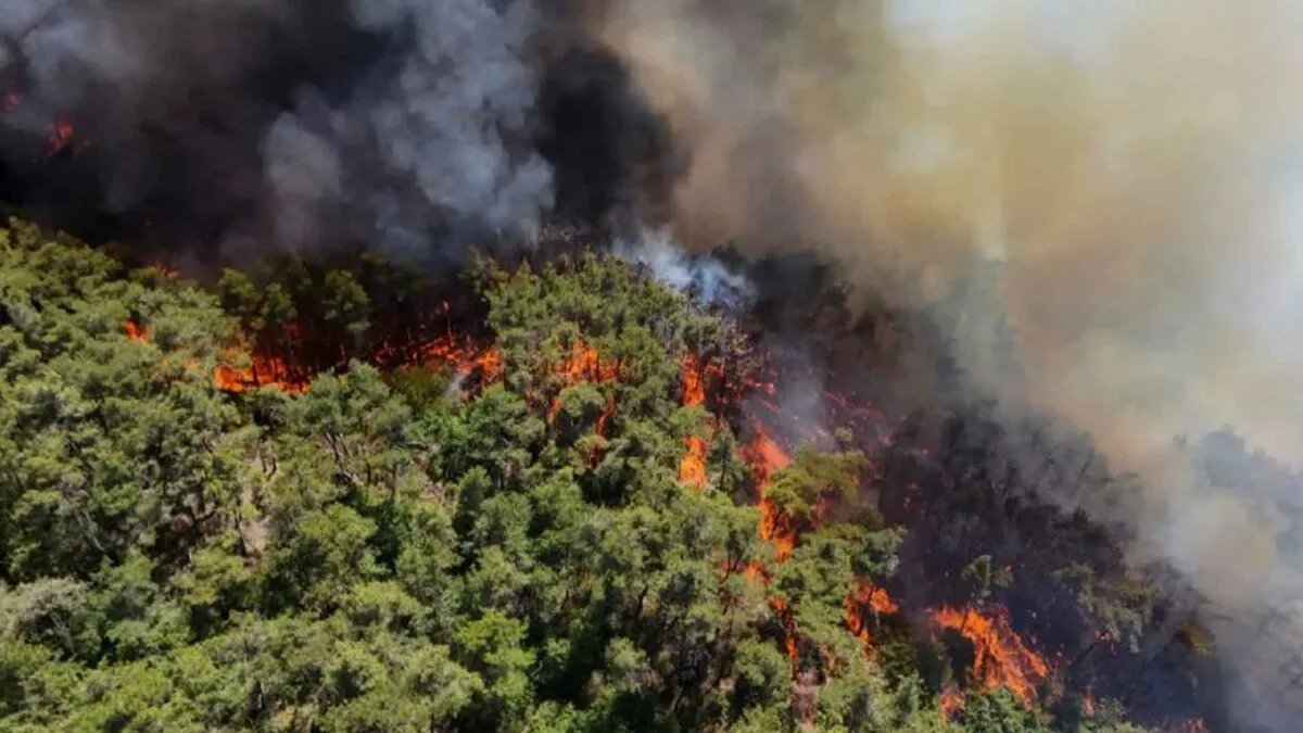 سوريا تستعيد عضويتها في اتحاد المتوسط وتكشف عن خطة للإنذار المبكر للحرائق