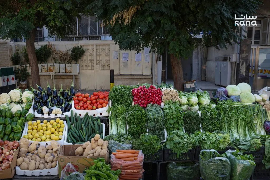 اتحاد الفلاحين يؤكد: تنظيم الاستيراد يدعم المنتج الوطني ويحقق الاكتفاء الذاتي