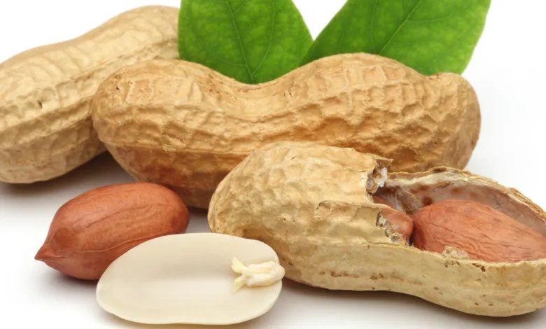 دراسة هولندية: الفول السوداني يعزز الذاكرة وتدفق الدم لدى كبار السن