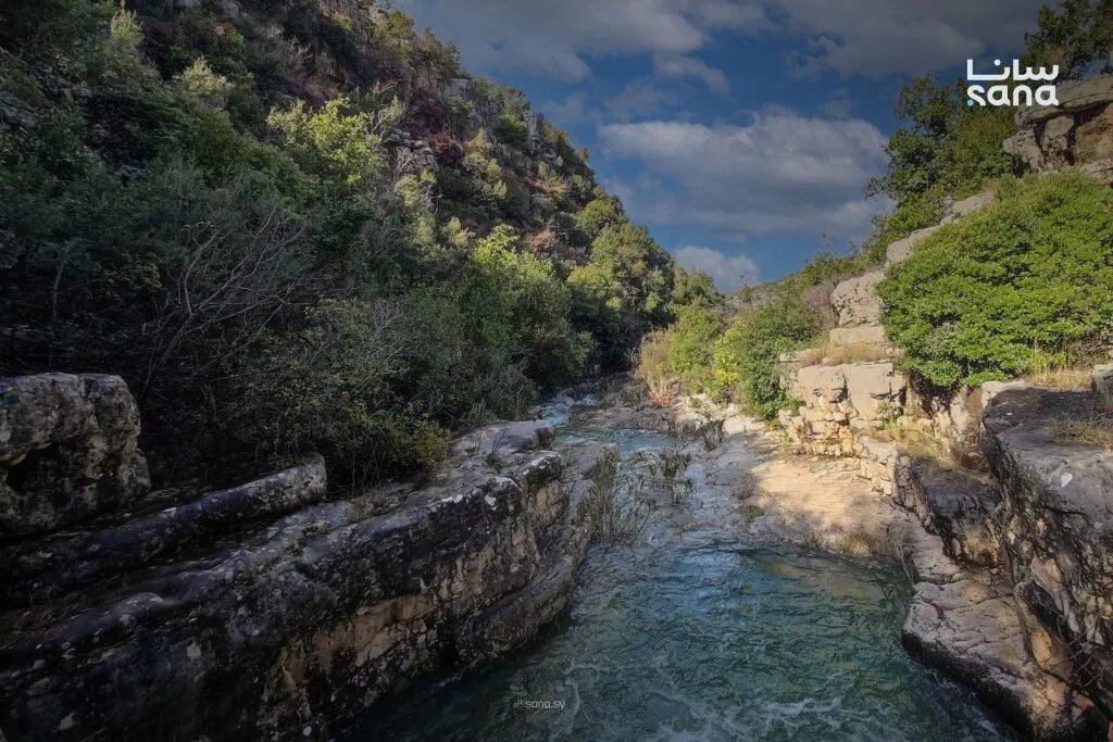 سوريا تتأثر بتقلبات جوية: انخفاض في الحرارة وأمطار متوقعة في عدة مناطق