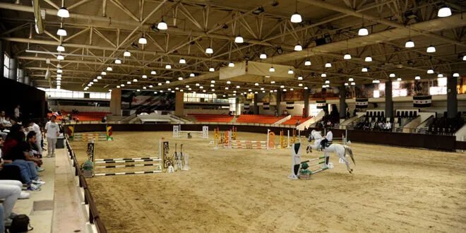 إثارة وتنافس: اختتام بطولة النصر الثالثة لقفز الحواجز بمشاركة واسعة